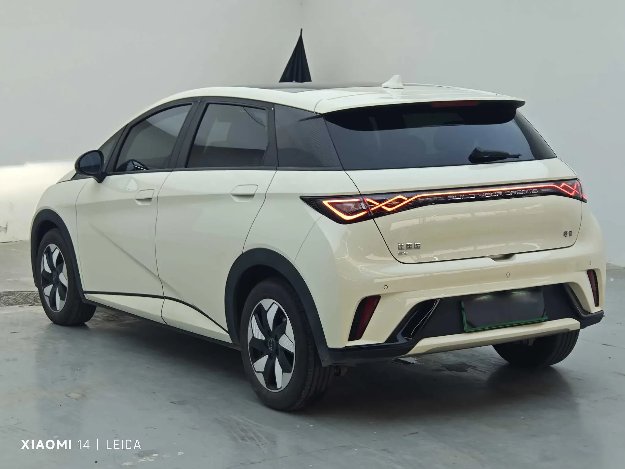 BYD Dolphin