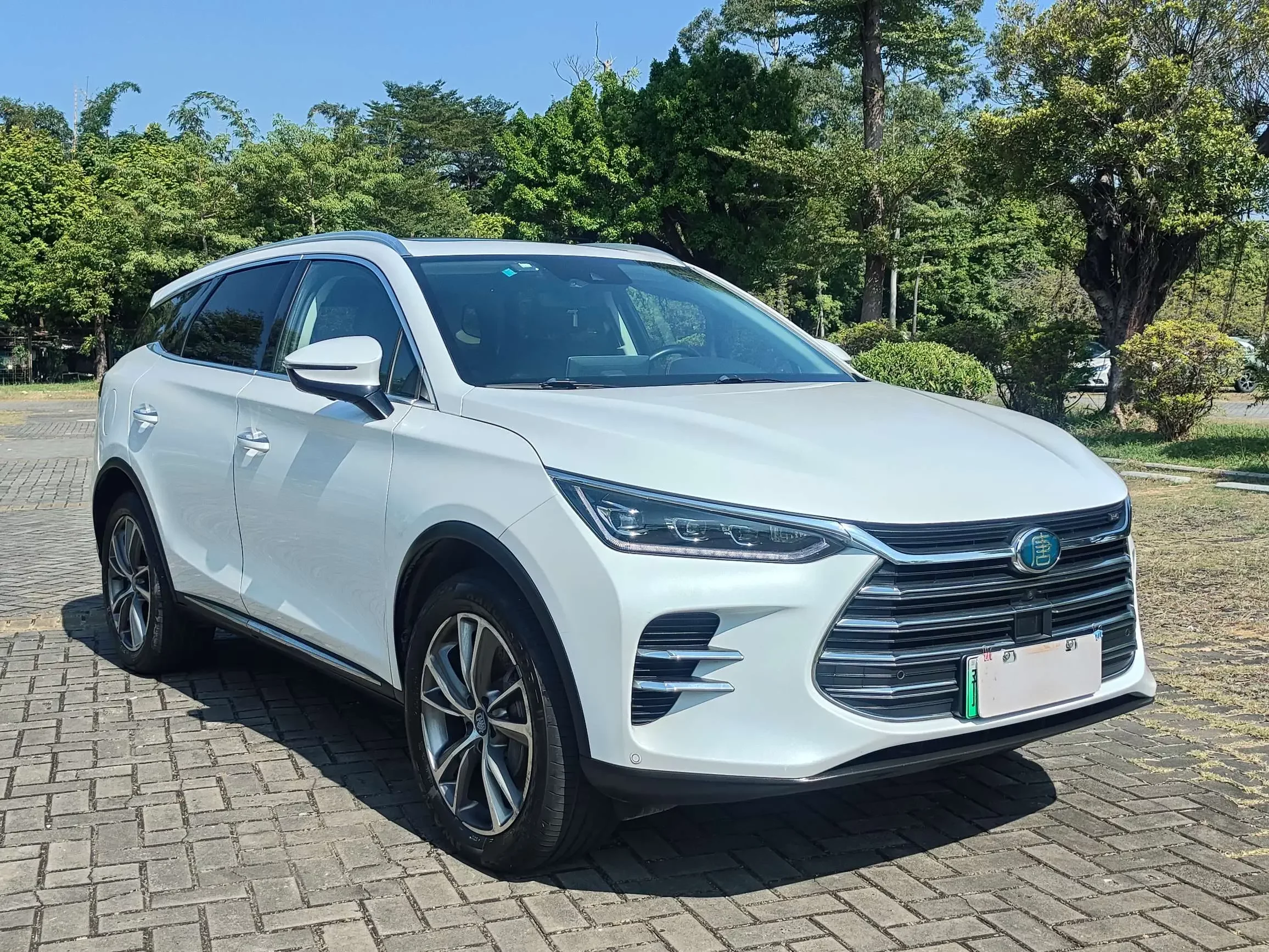 BYD Tang DM