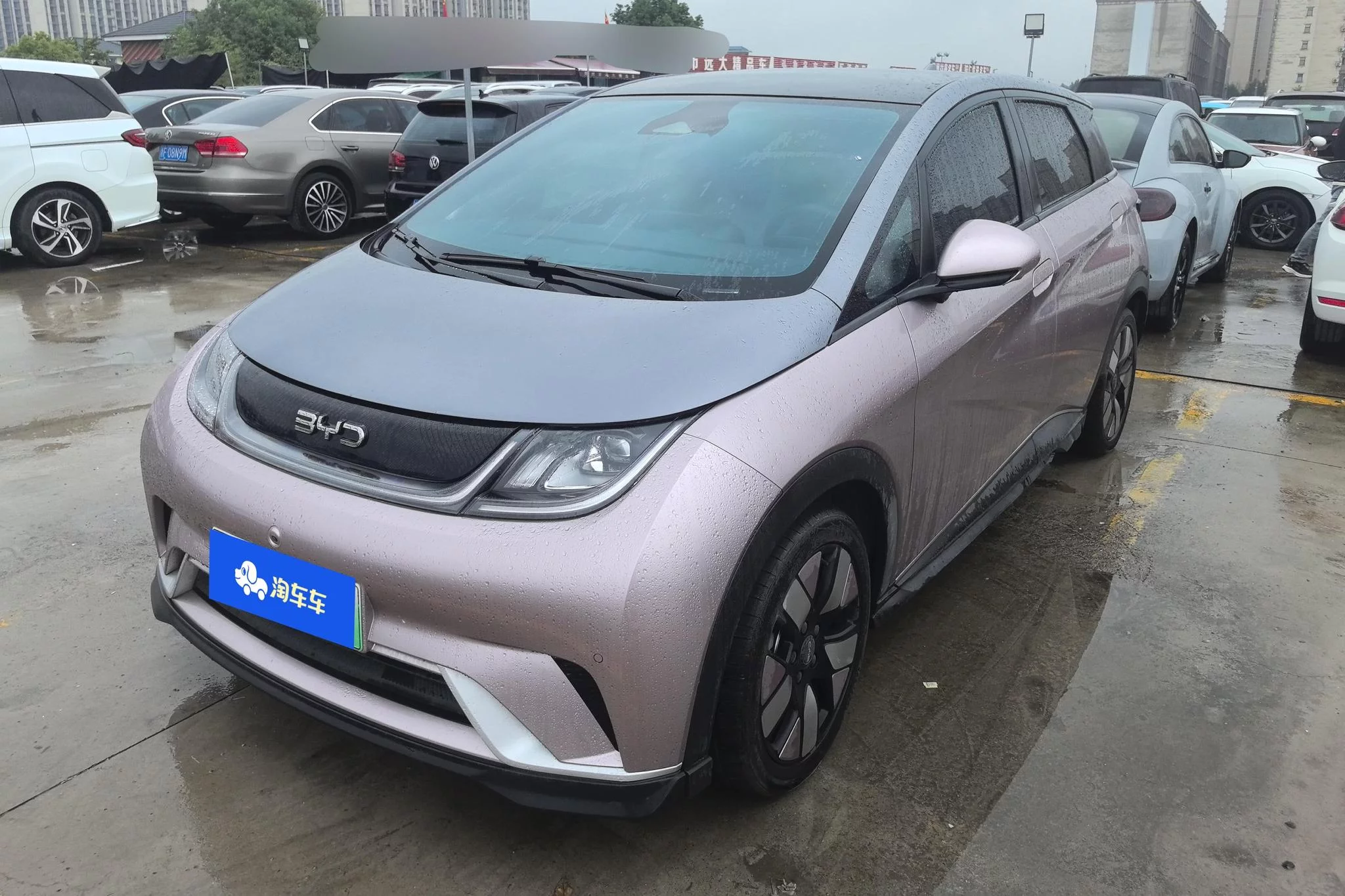BYD Dolphin