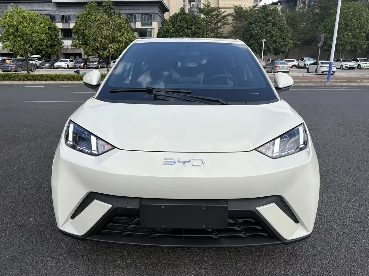 BYD Seagull