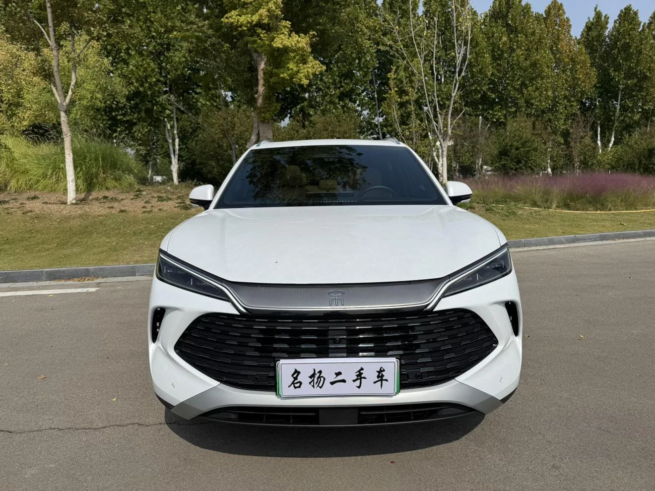 BYD Song L DM