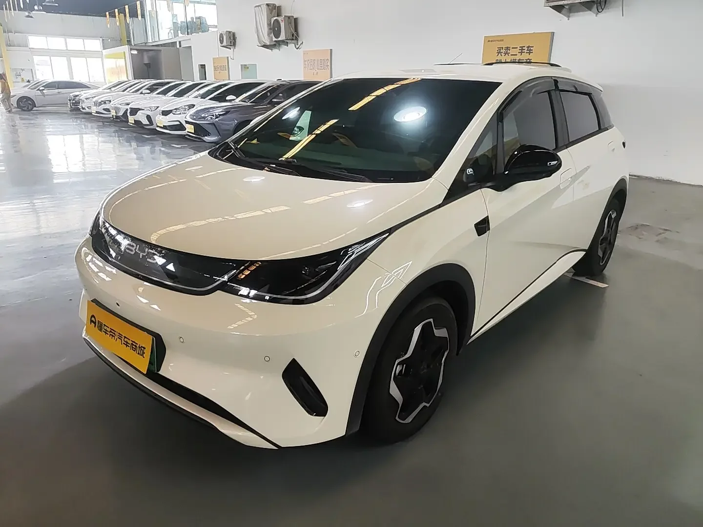BYD Dolphin