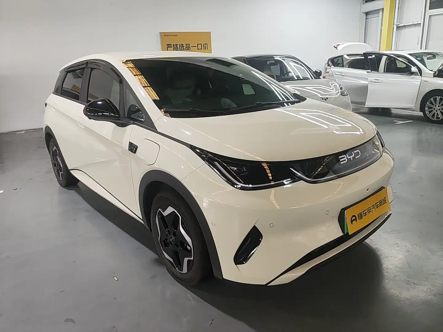 BYD Dolphin
