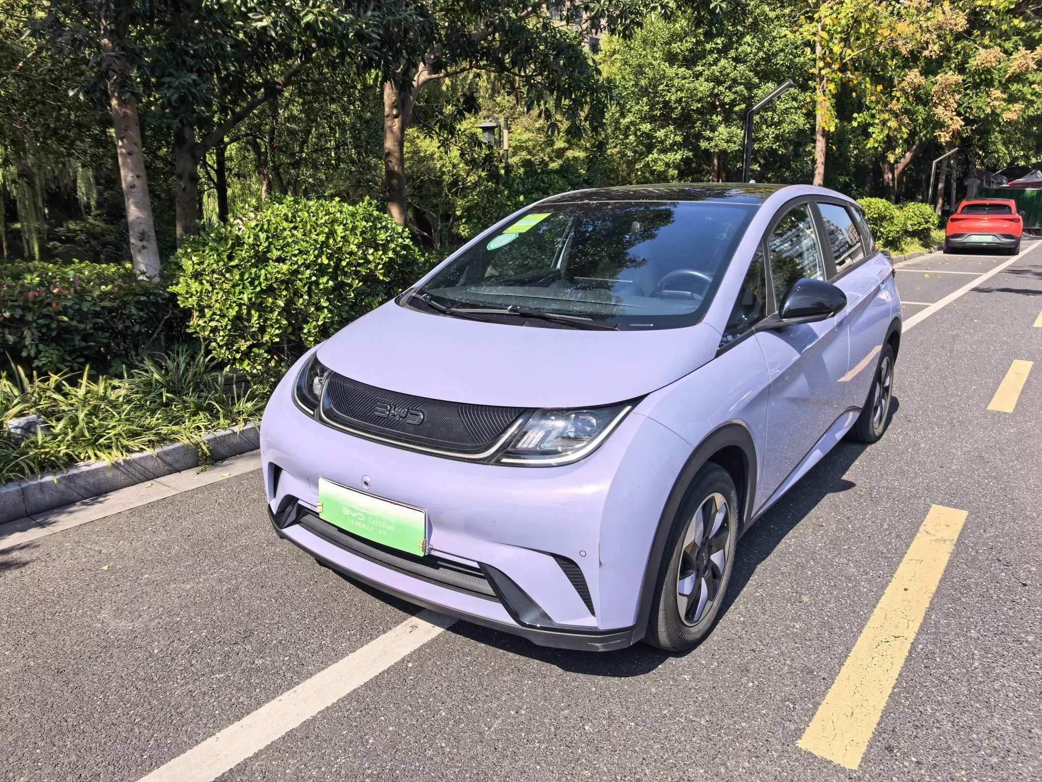 BYD Dolphin