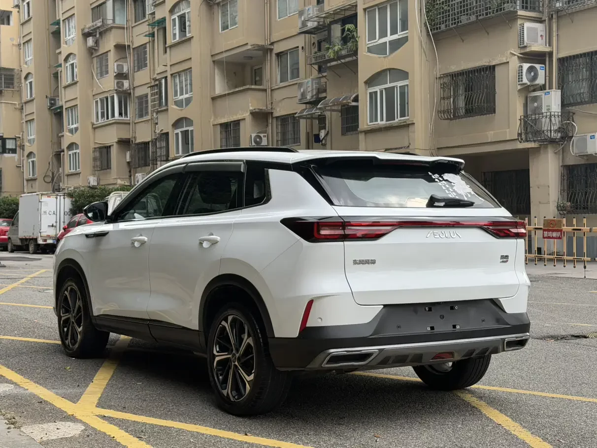 Dongfeng Haoji