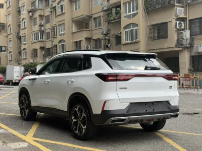 Dongfeng Haoji