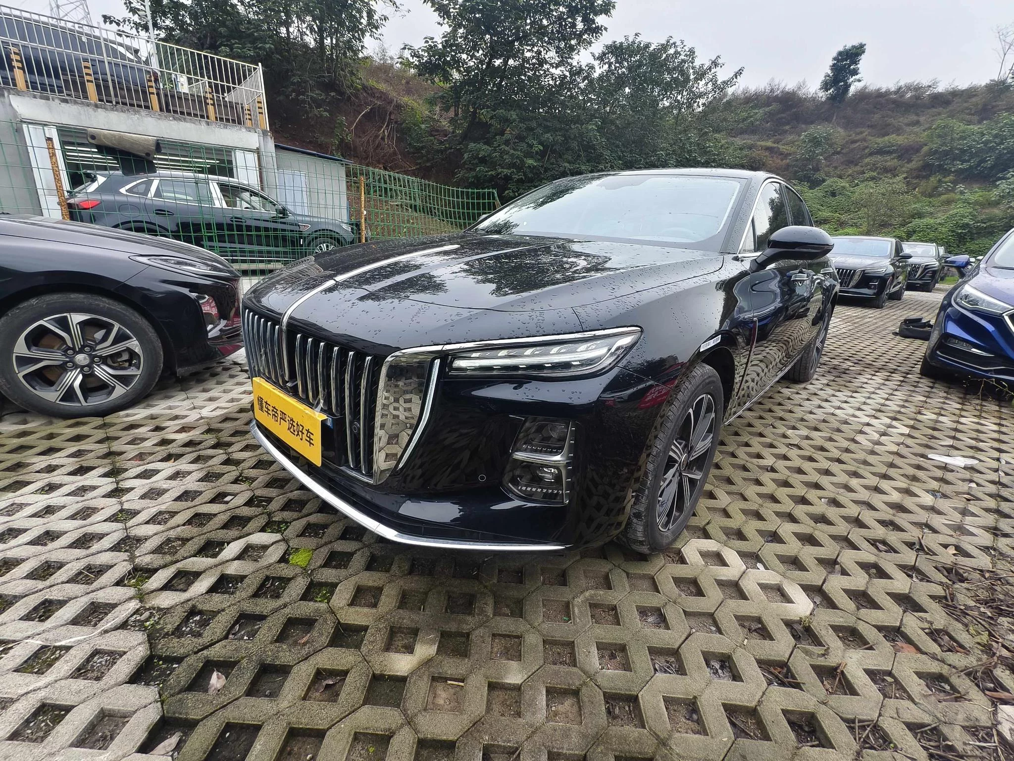 Hongqi H5 PHEV