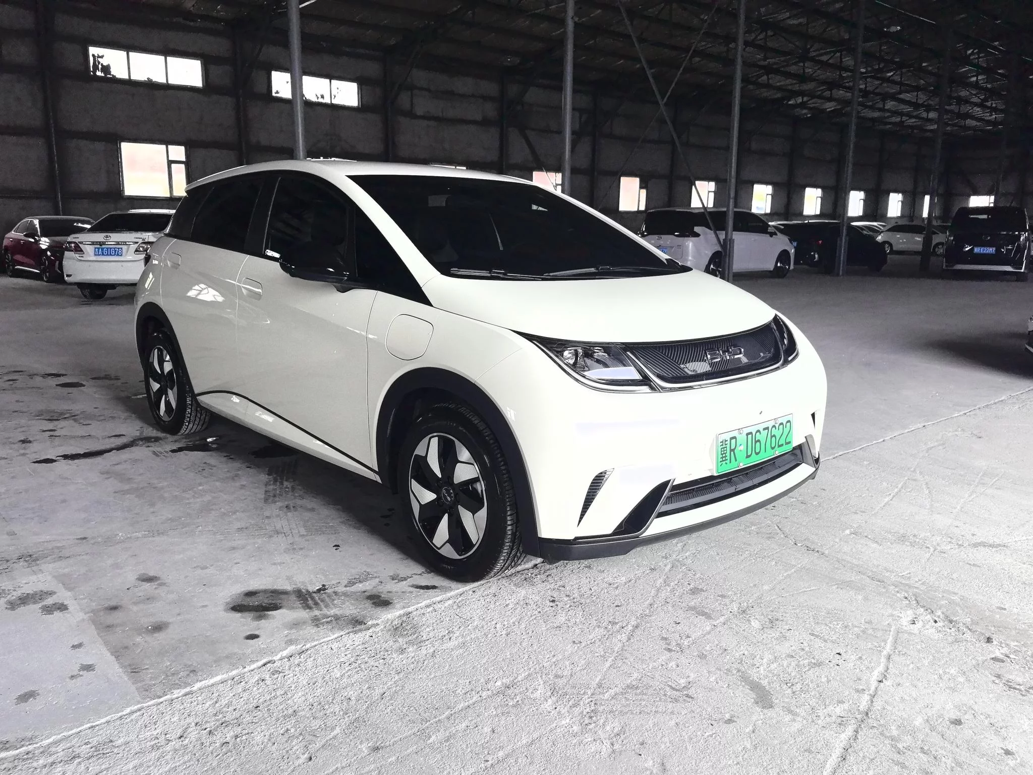 BYD Dolphin
