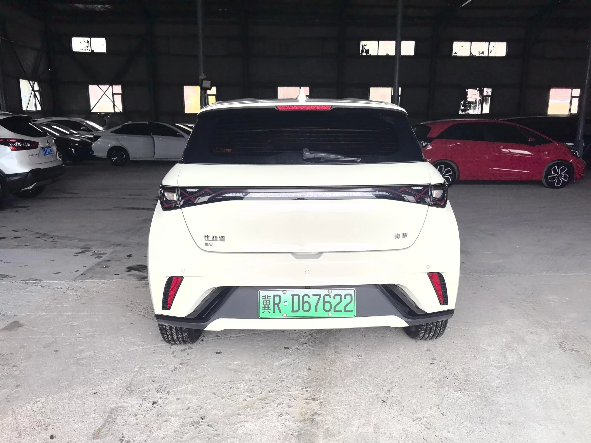 BYD Dolphin