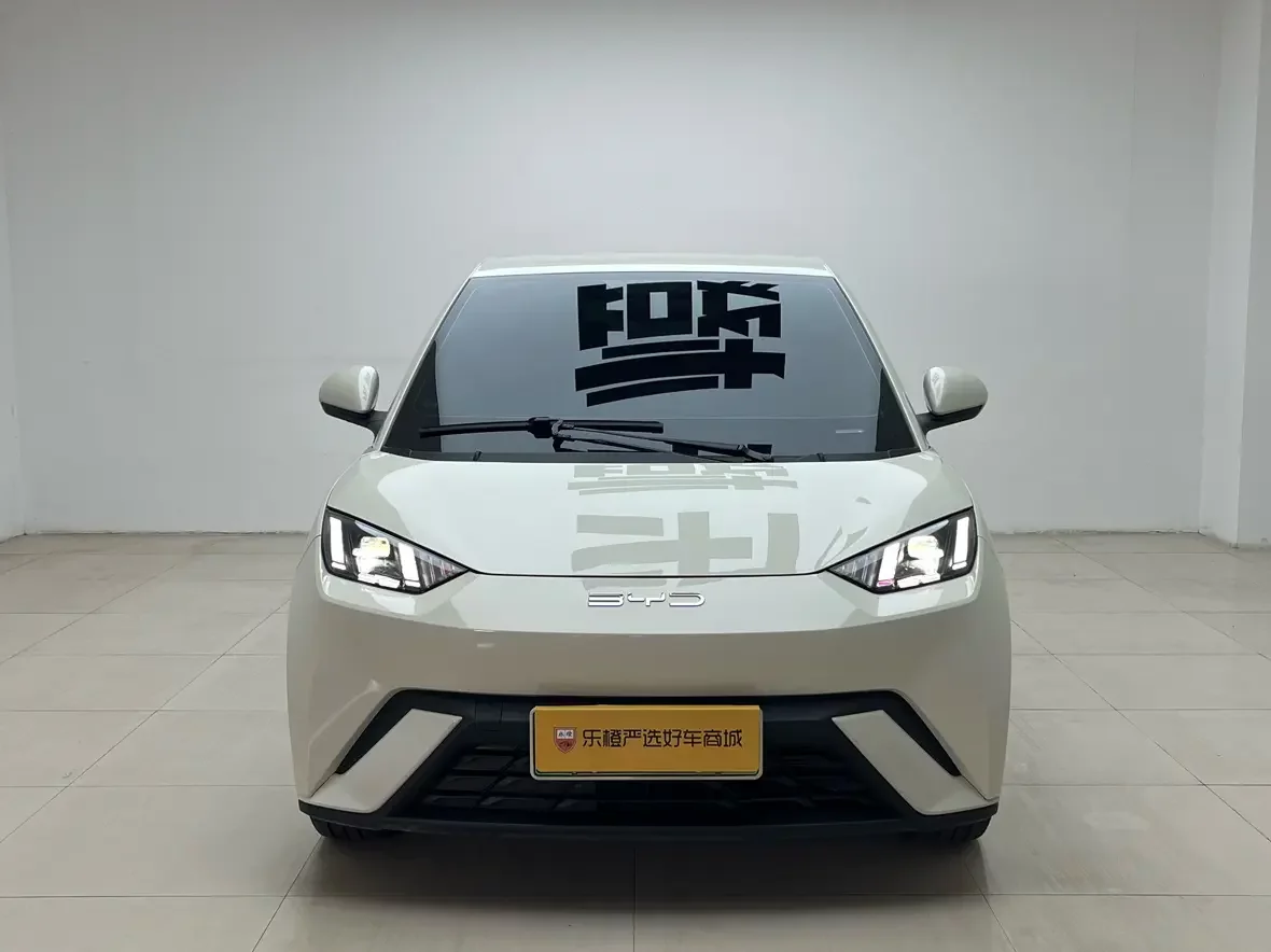 BYD Seagull