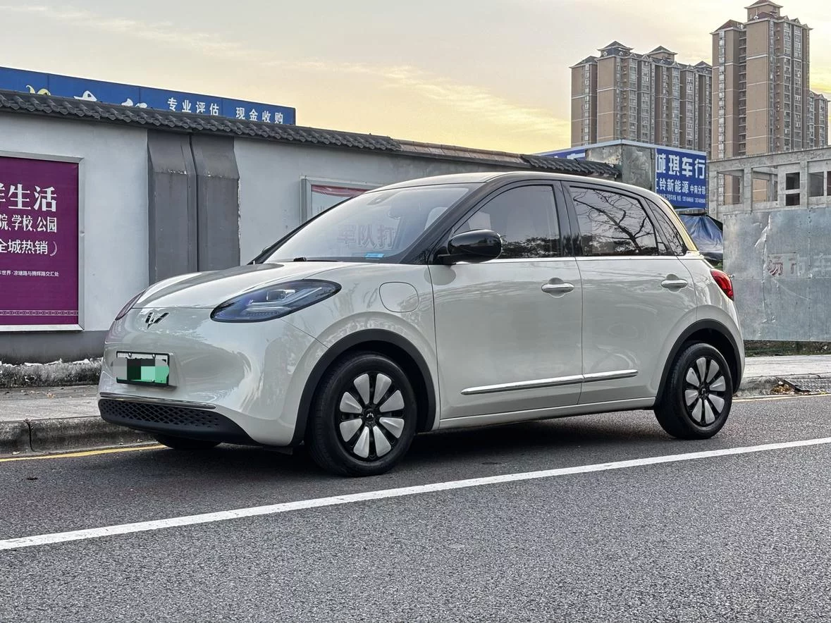 Wuling Bingo