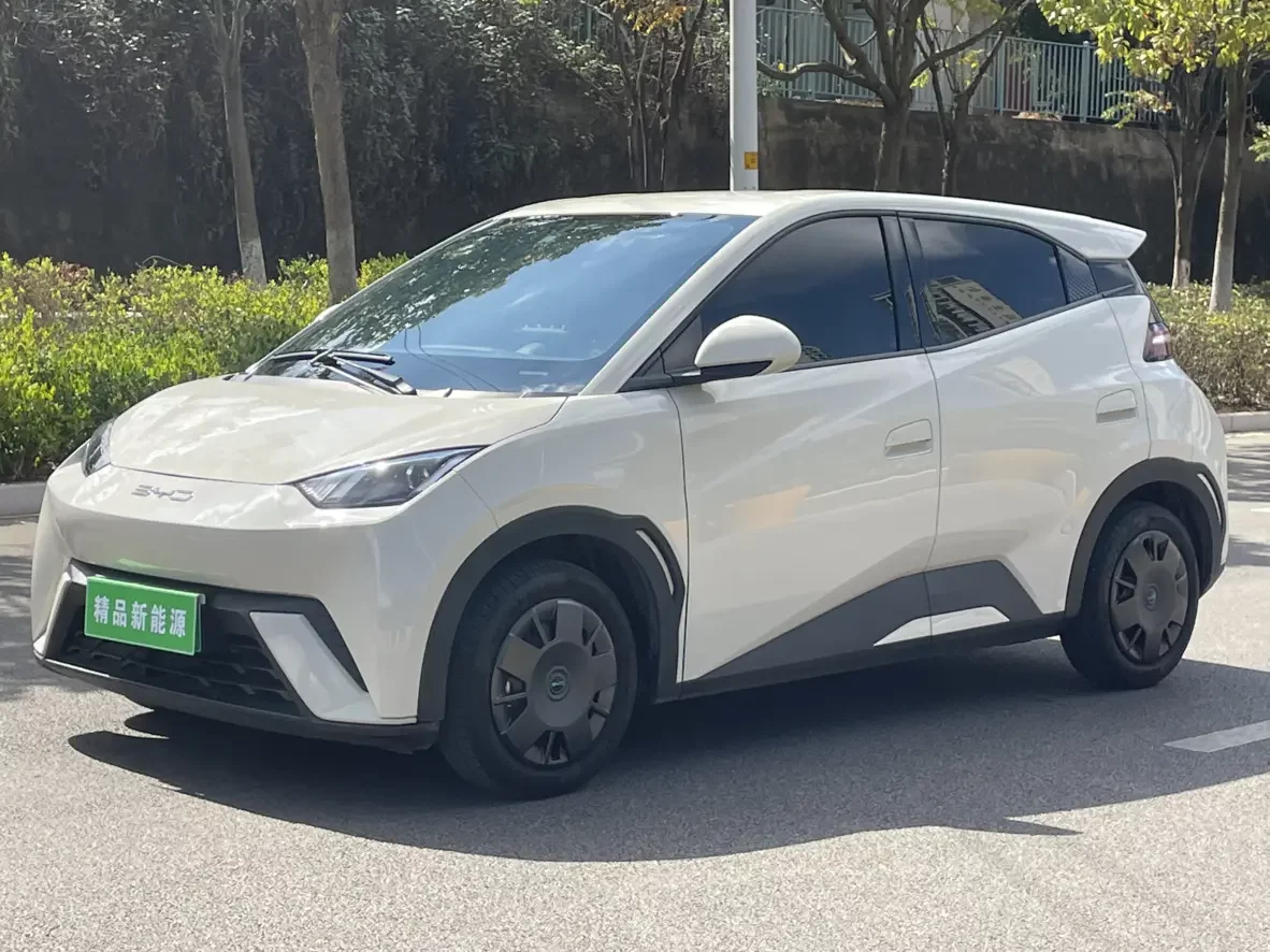 BYD Seagull