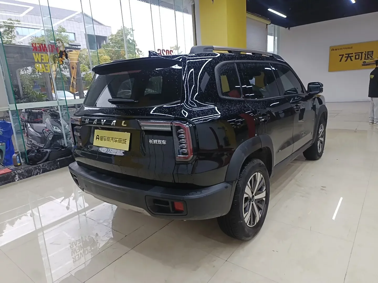 HAVAL GREAT WALL DACHSHUND