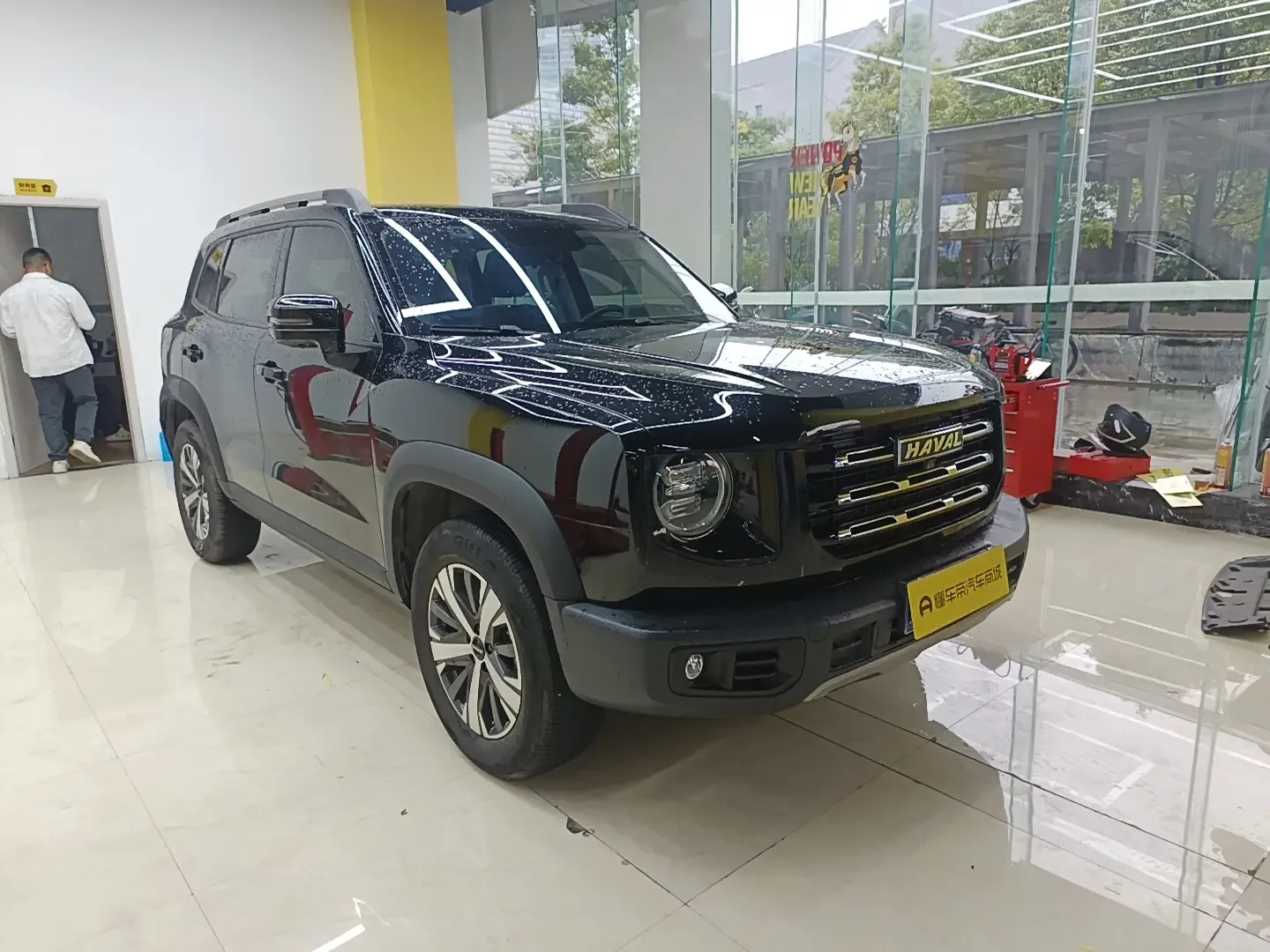 HAVAL GREAT WALL DACHSHUND