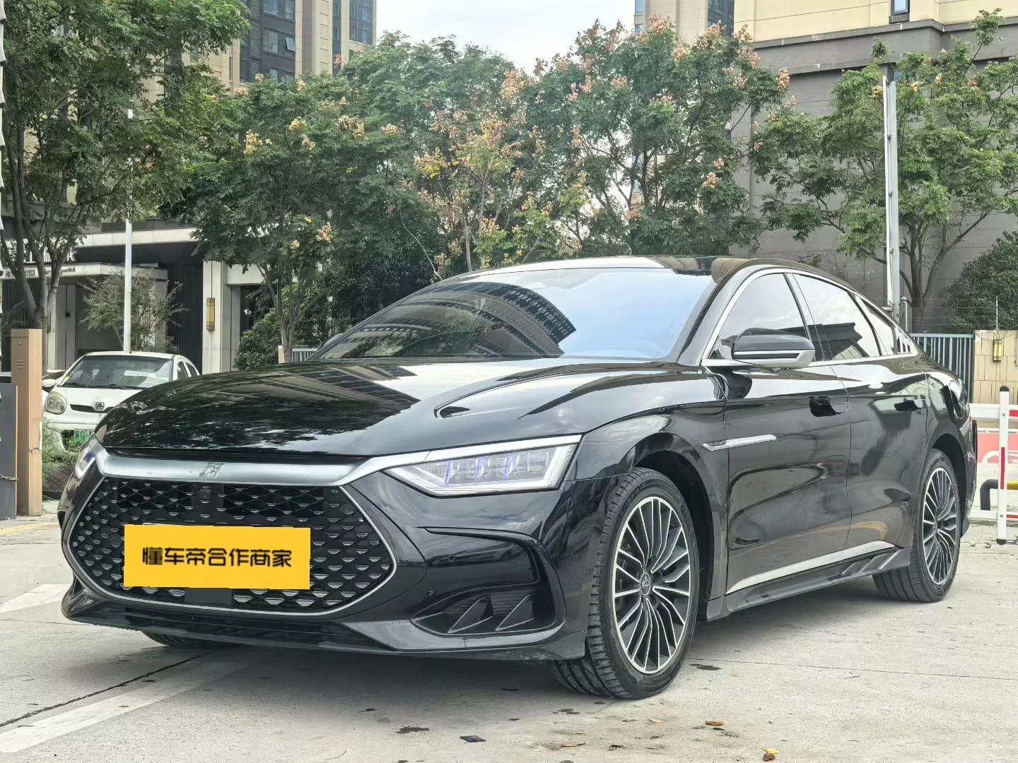 BYD HAN DM