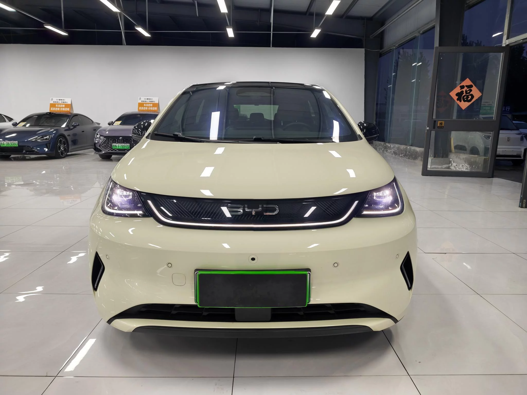 BYD Dolphin