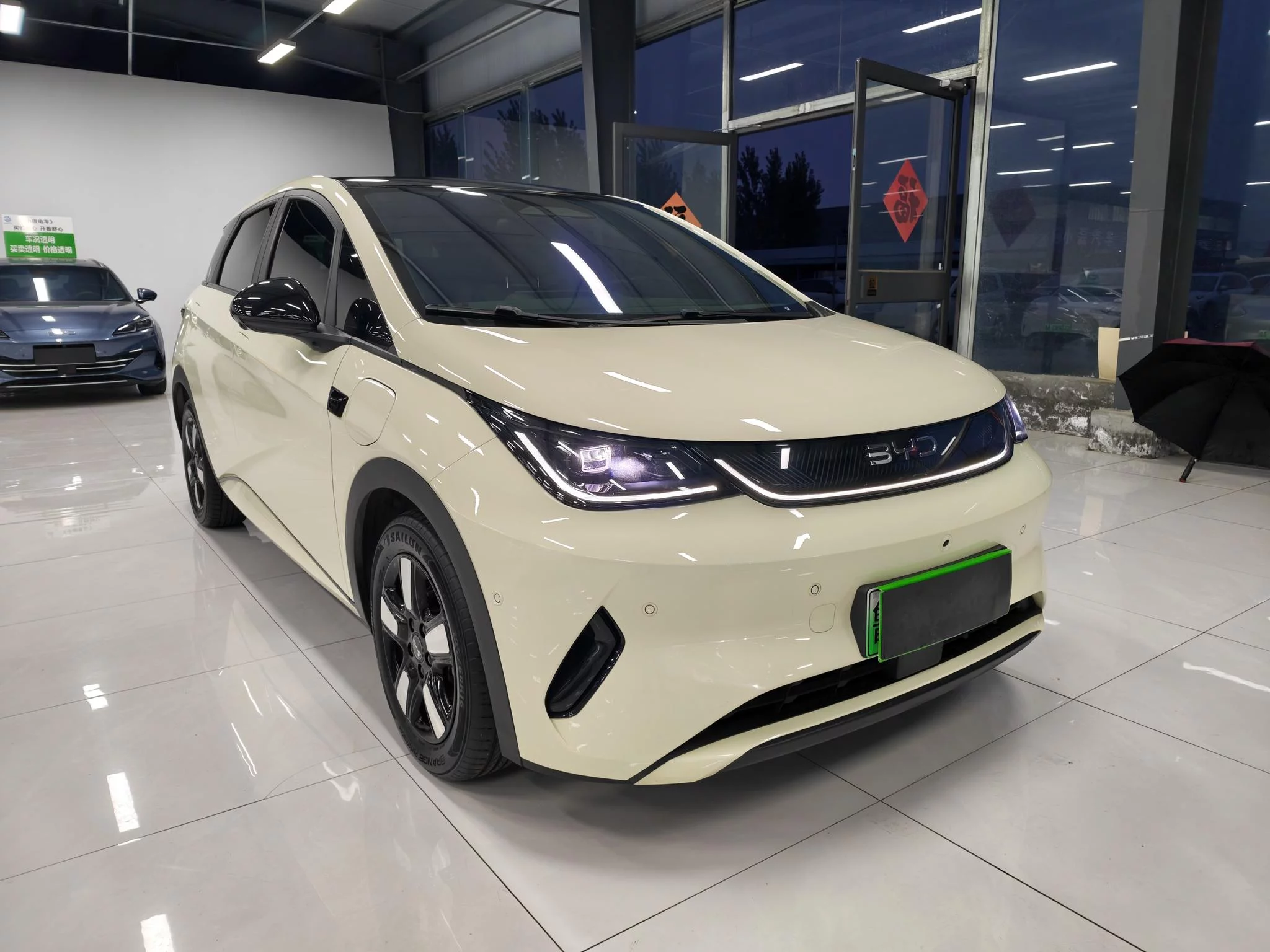 BYD Dolphin