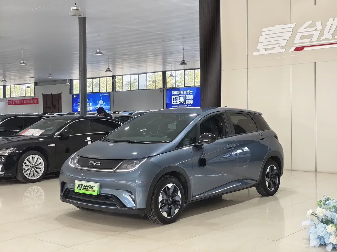 BYD Dolphin