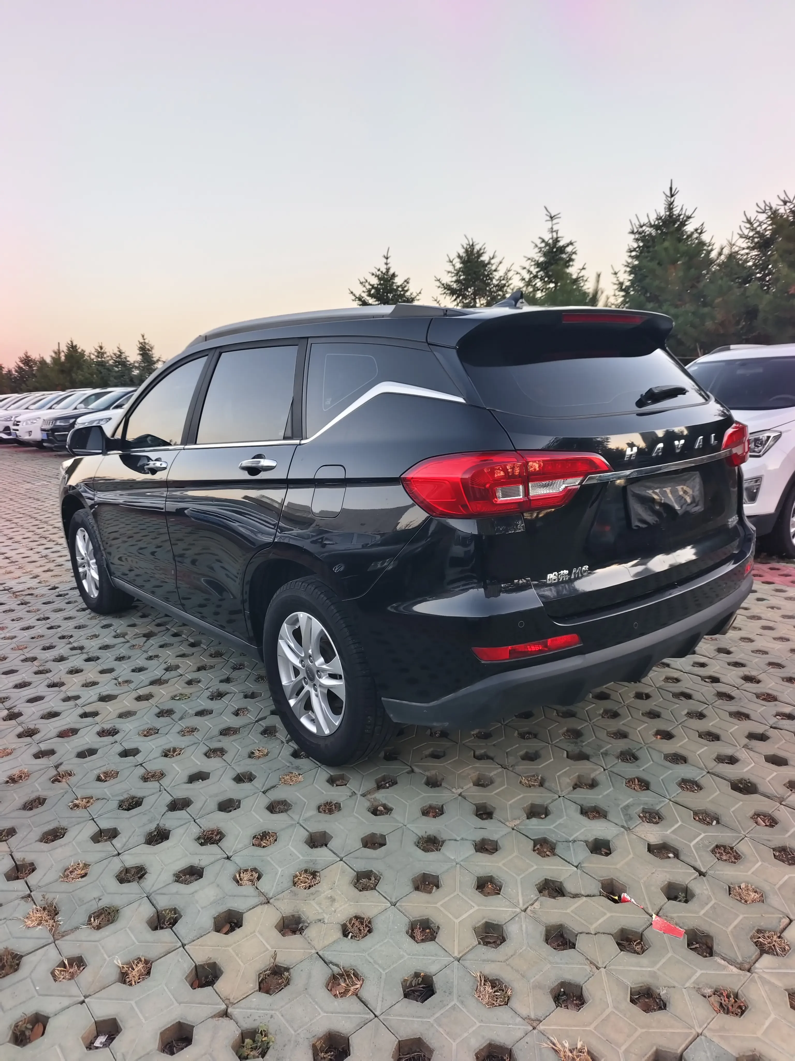 Haval M6
