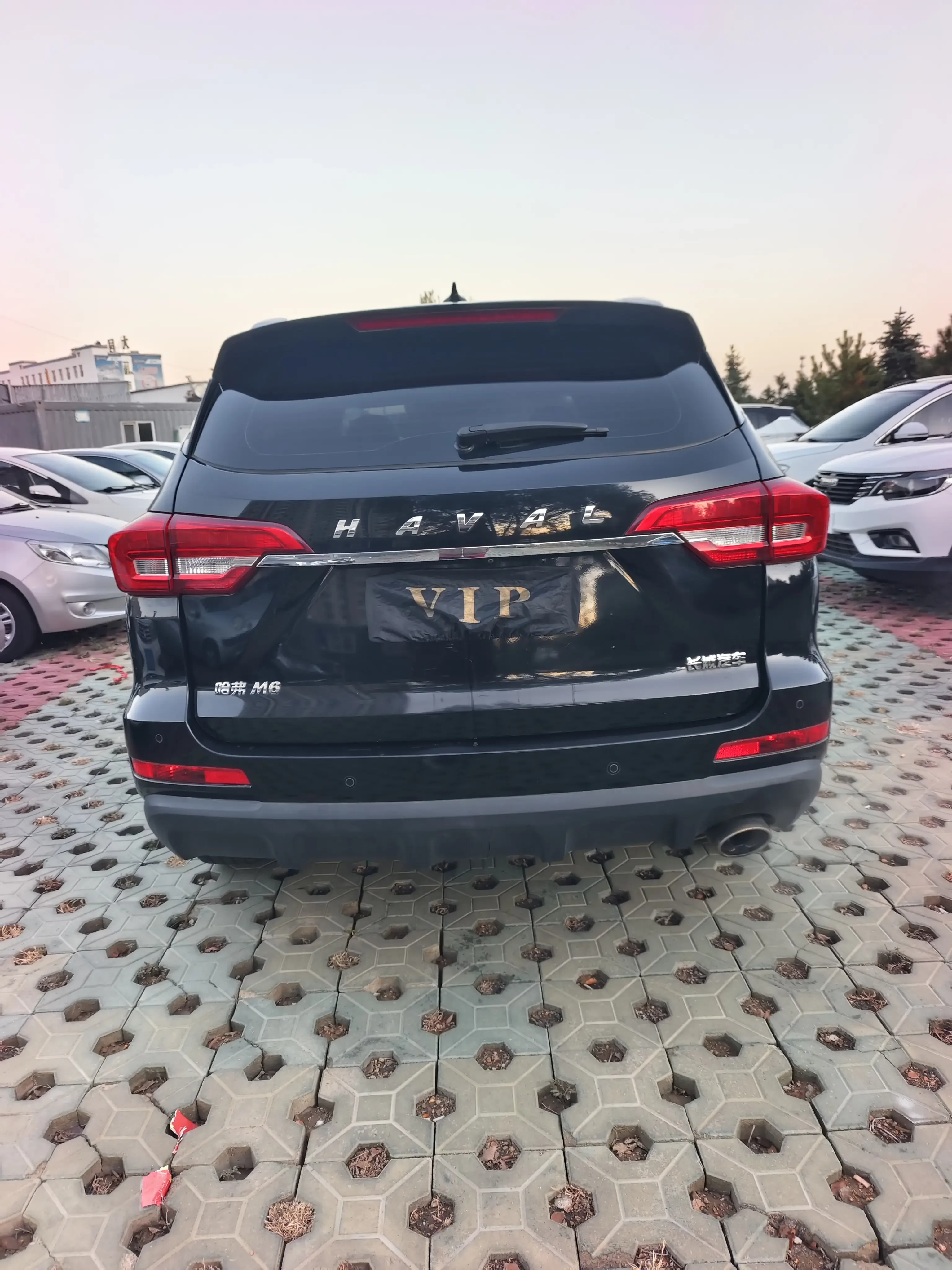 Haval M6