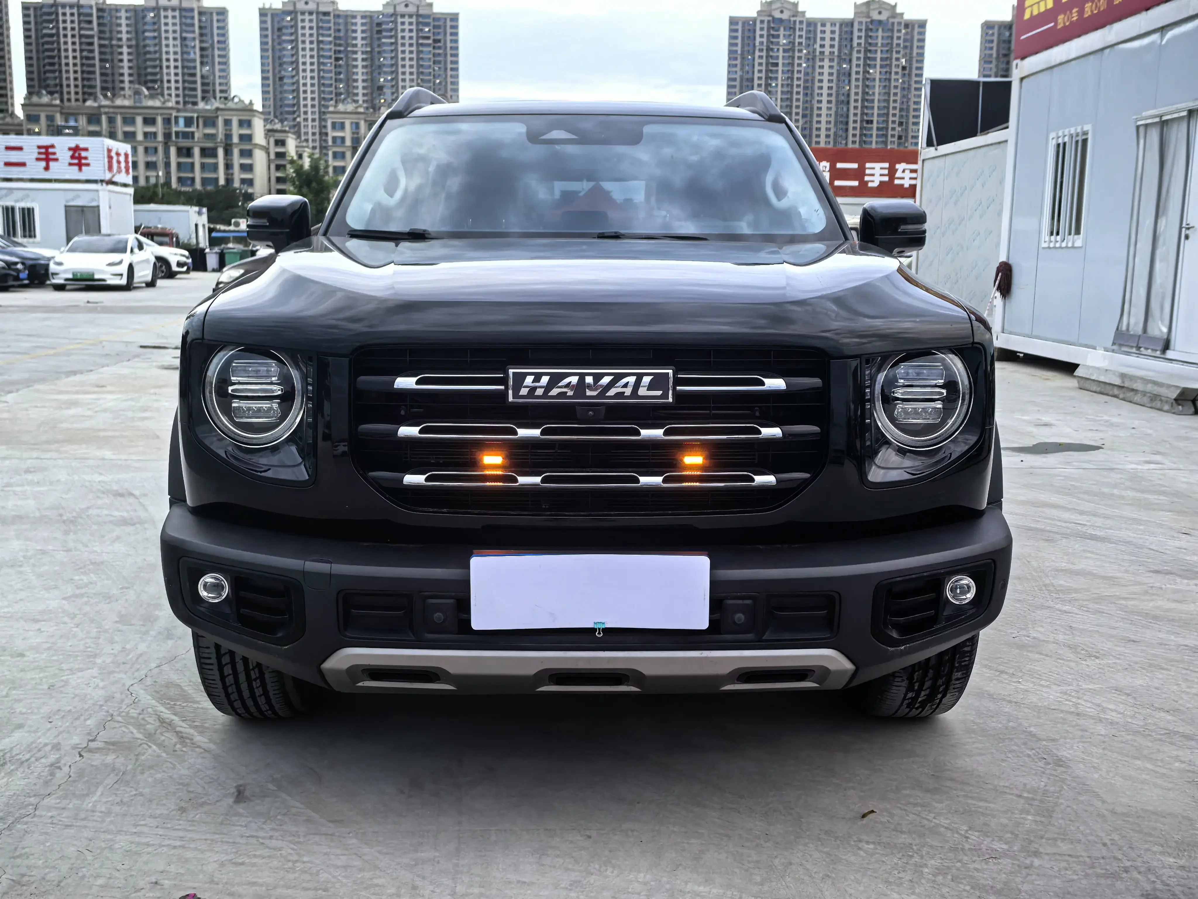 Haval Great Wall Dachshund
