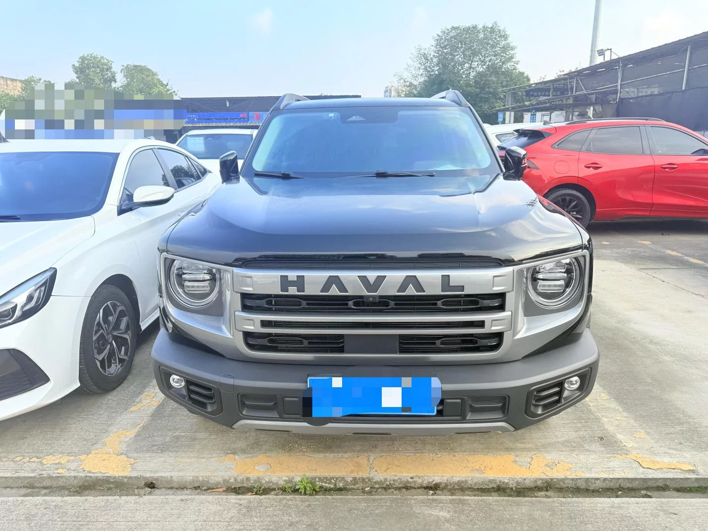 Haval Great Wall Dachshund