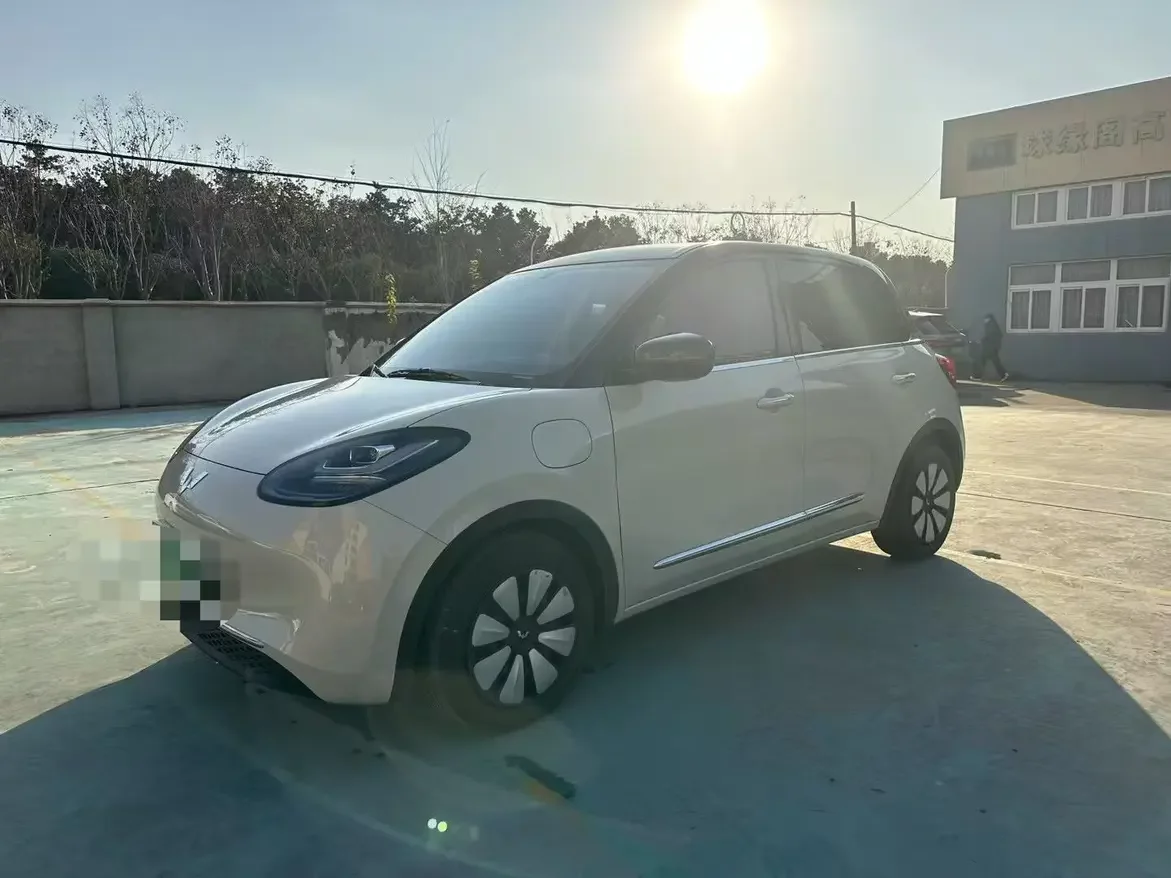 Wuling Bingo