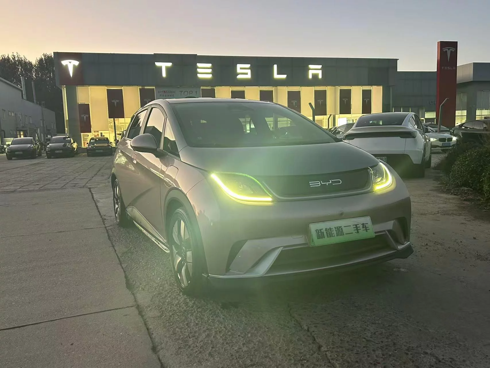 BYD Dolphin