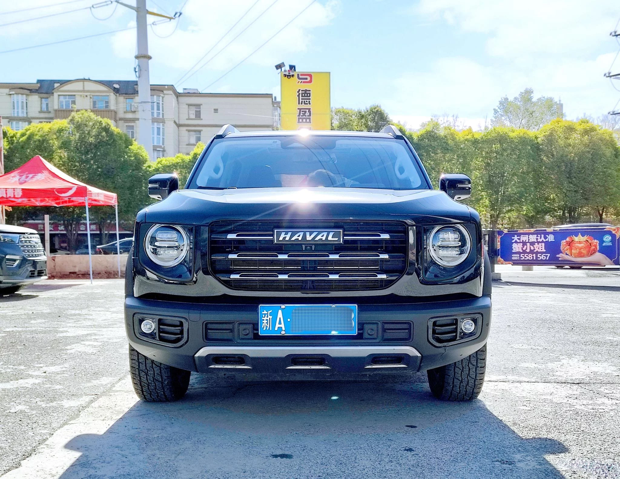 Haval Great Wall Dachshund