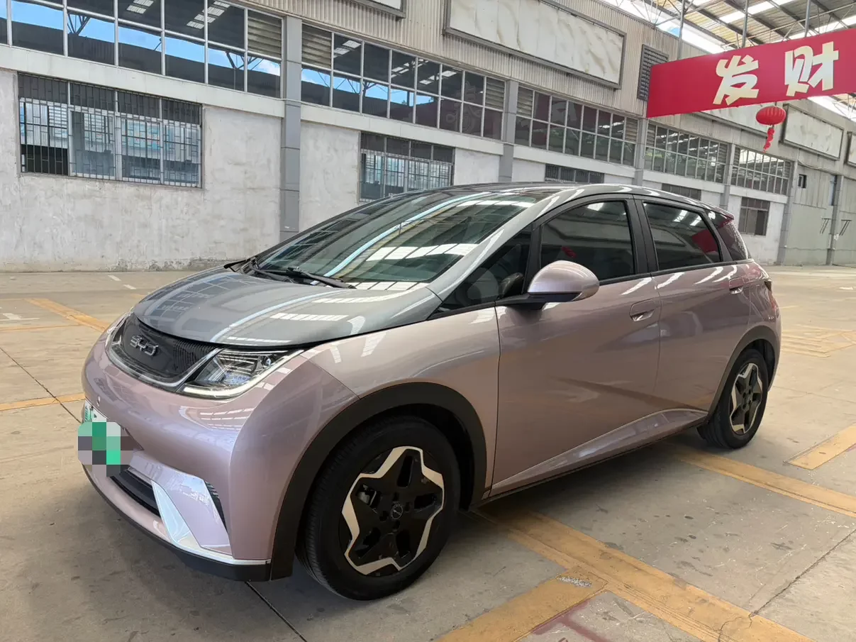 BYD Dolphin
