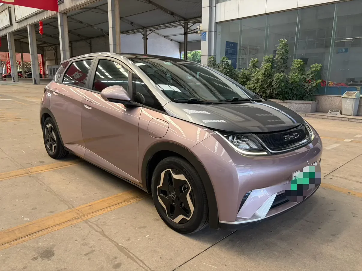 BYD Dolphin