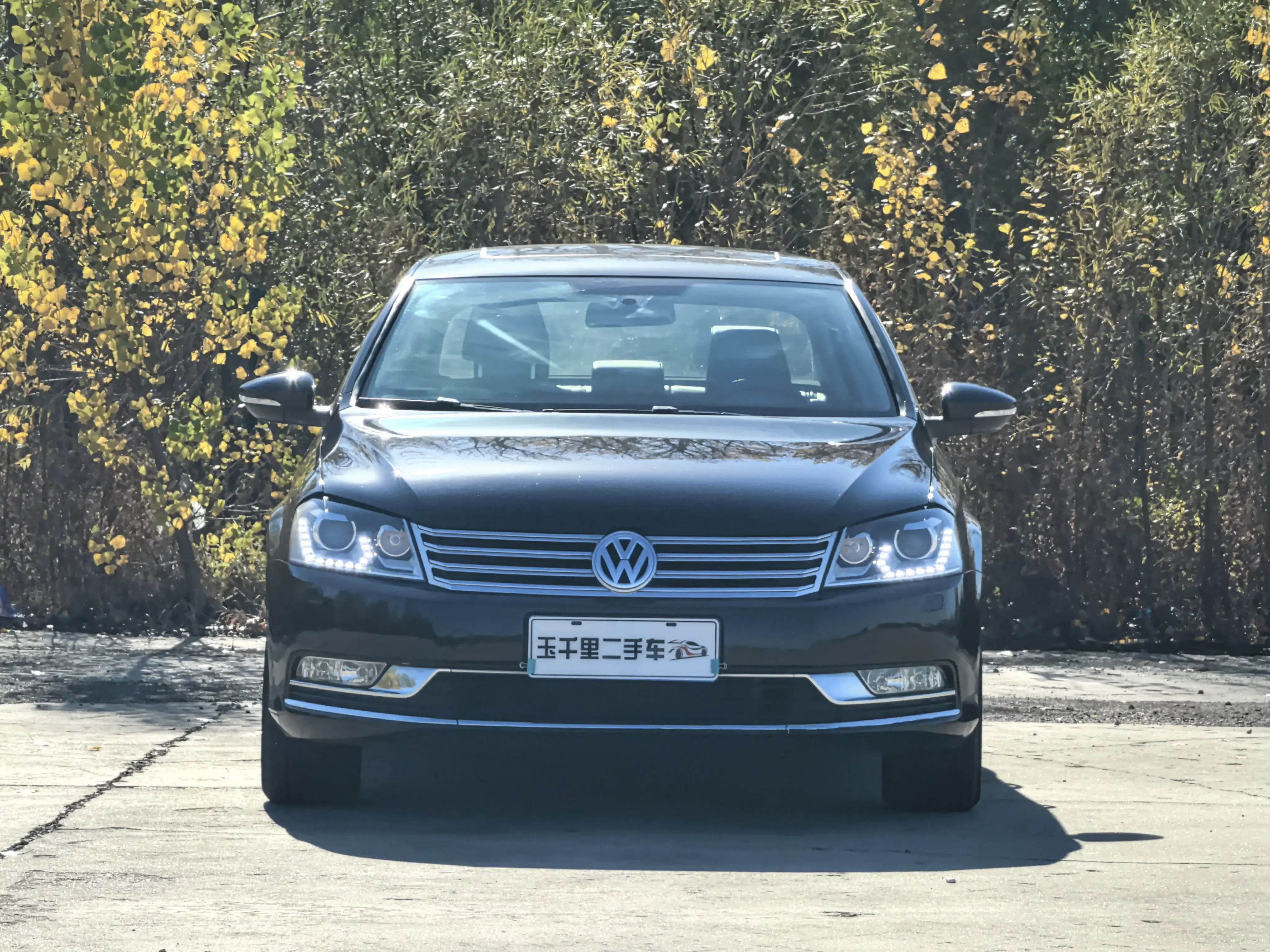 Volkswagen Magotan