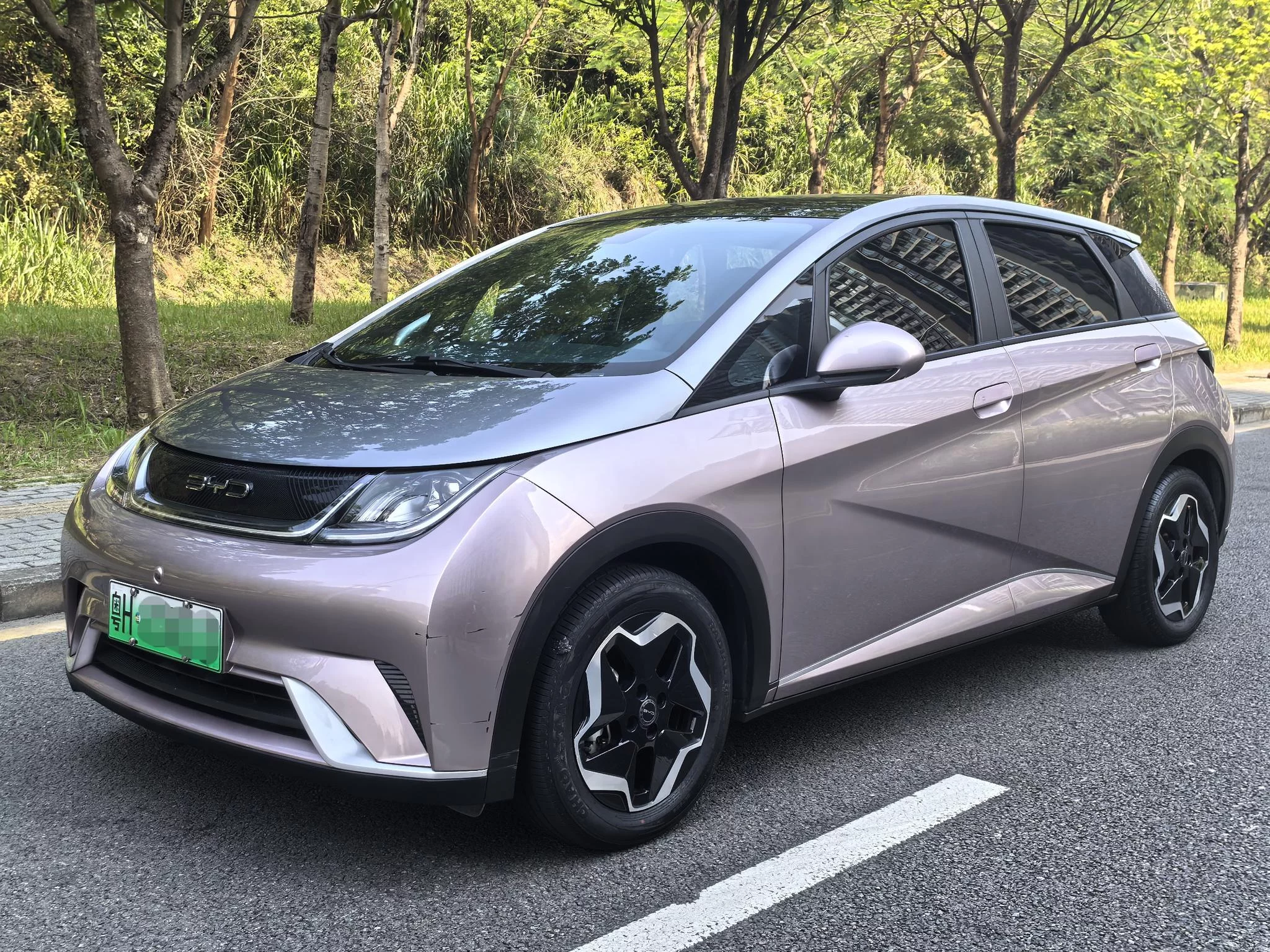 BYD Dolphin