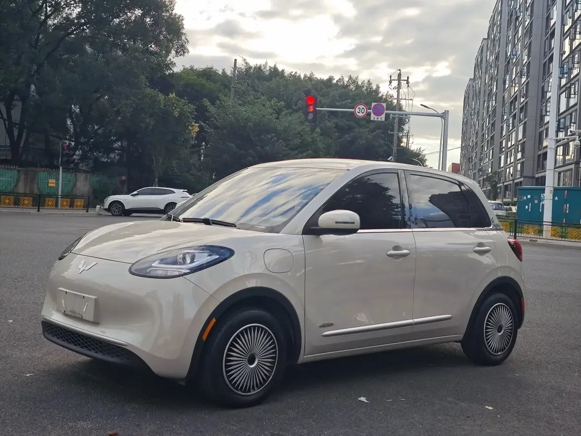 Wuling Bingo
