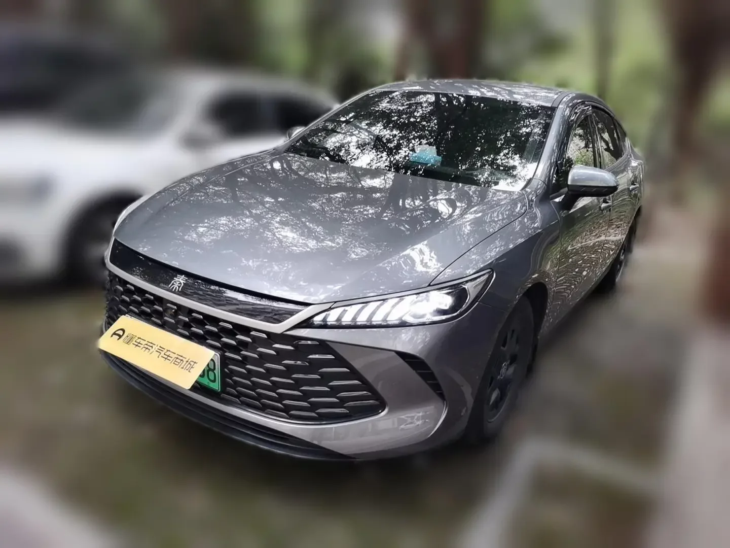 BYD Qin PLUS DM