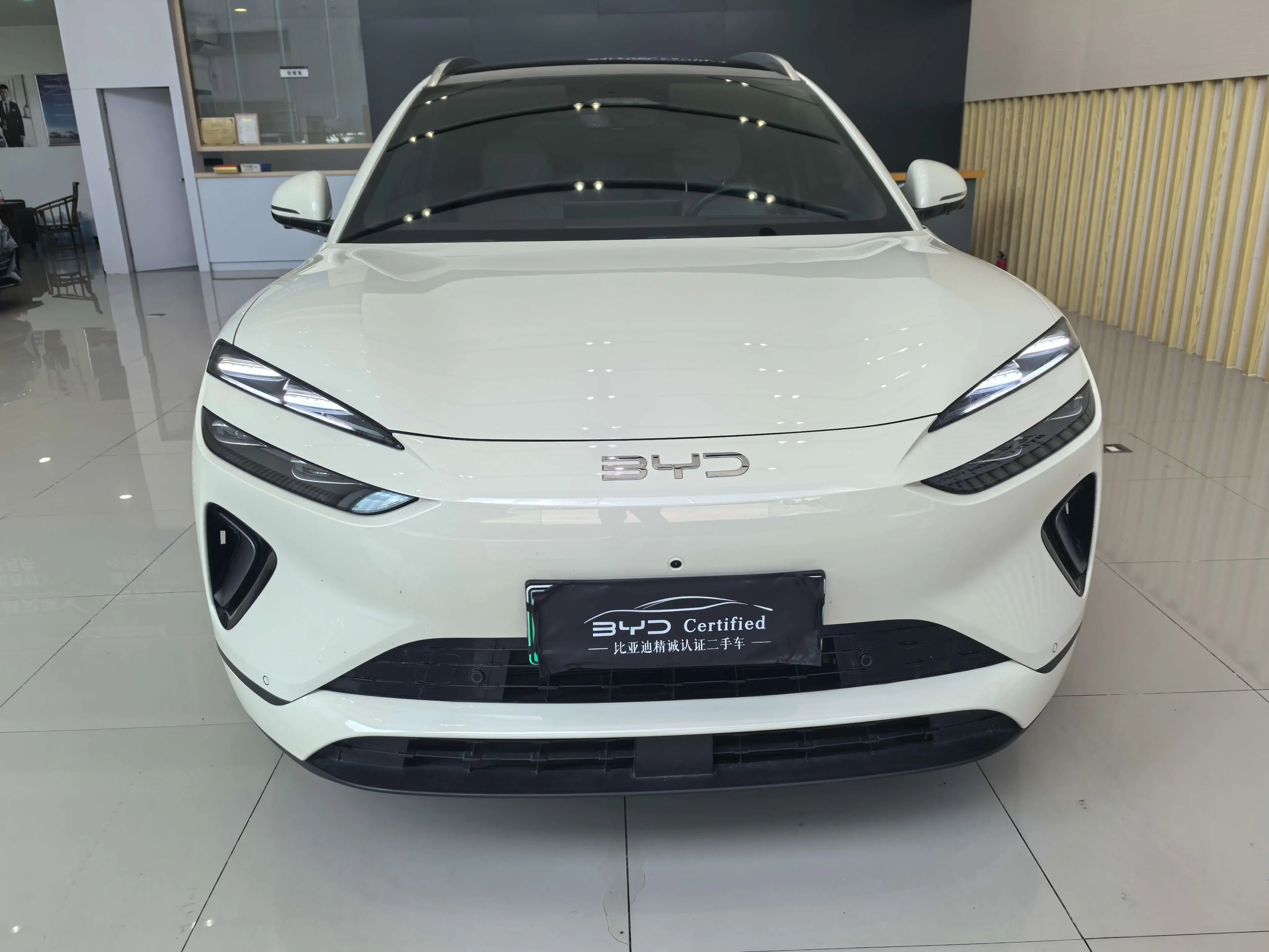 BYD Sea Lion 06DM