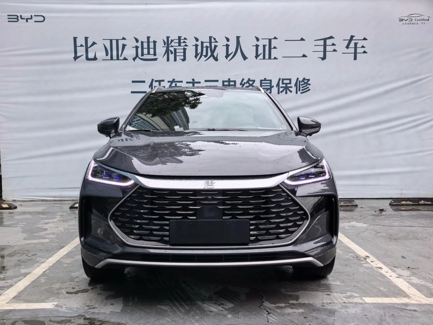 BYD Tang DM
