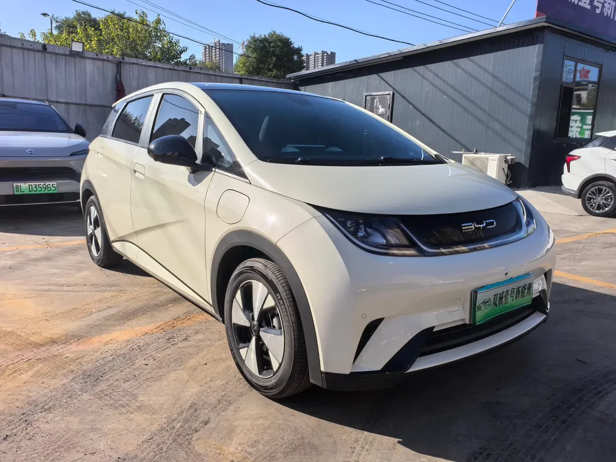BYD Dolphin