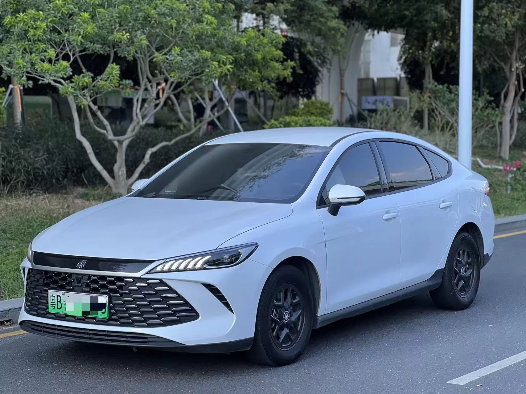 BYD Qin PLUS DM