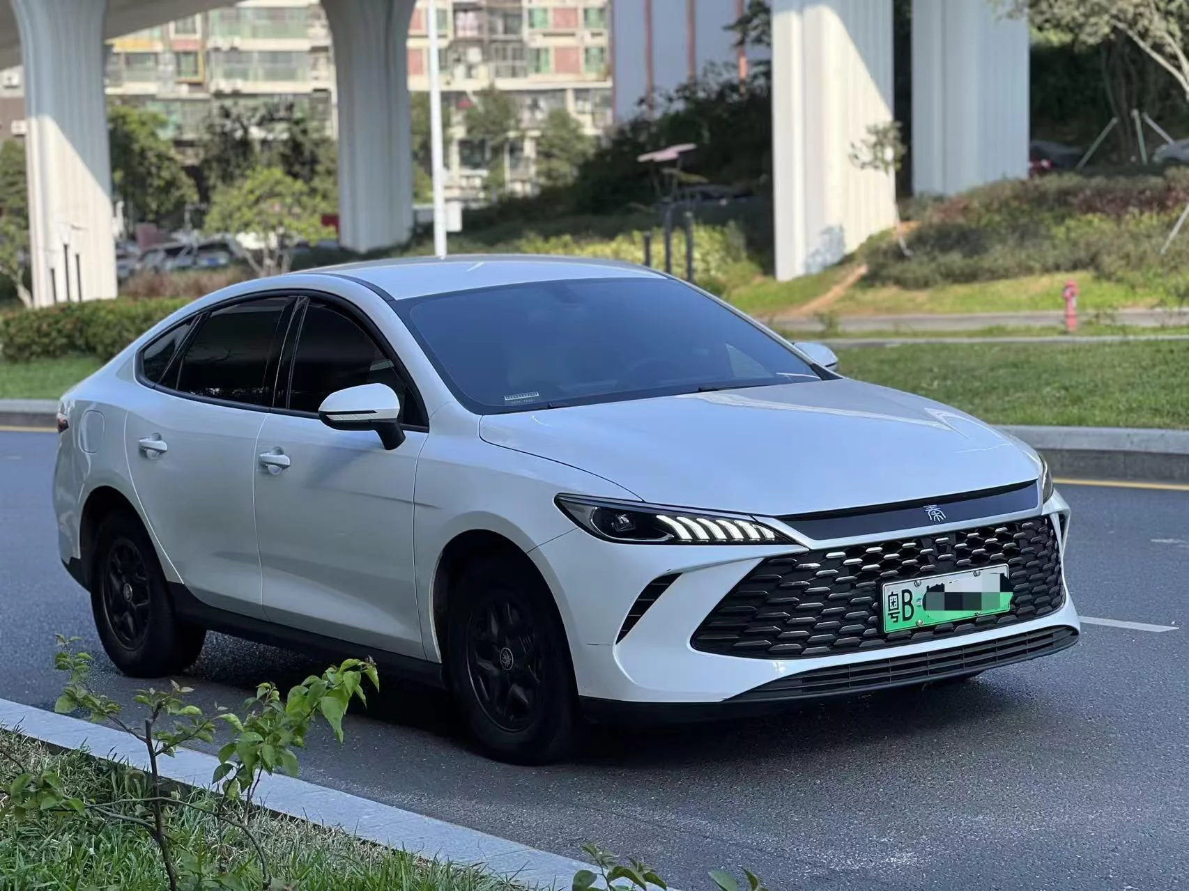 BYD Qin PLUS DM