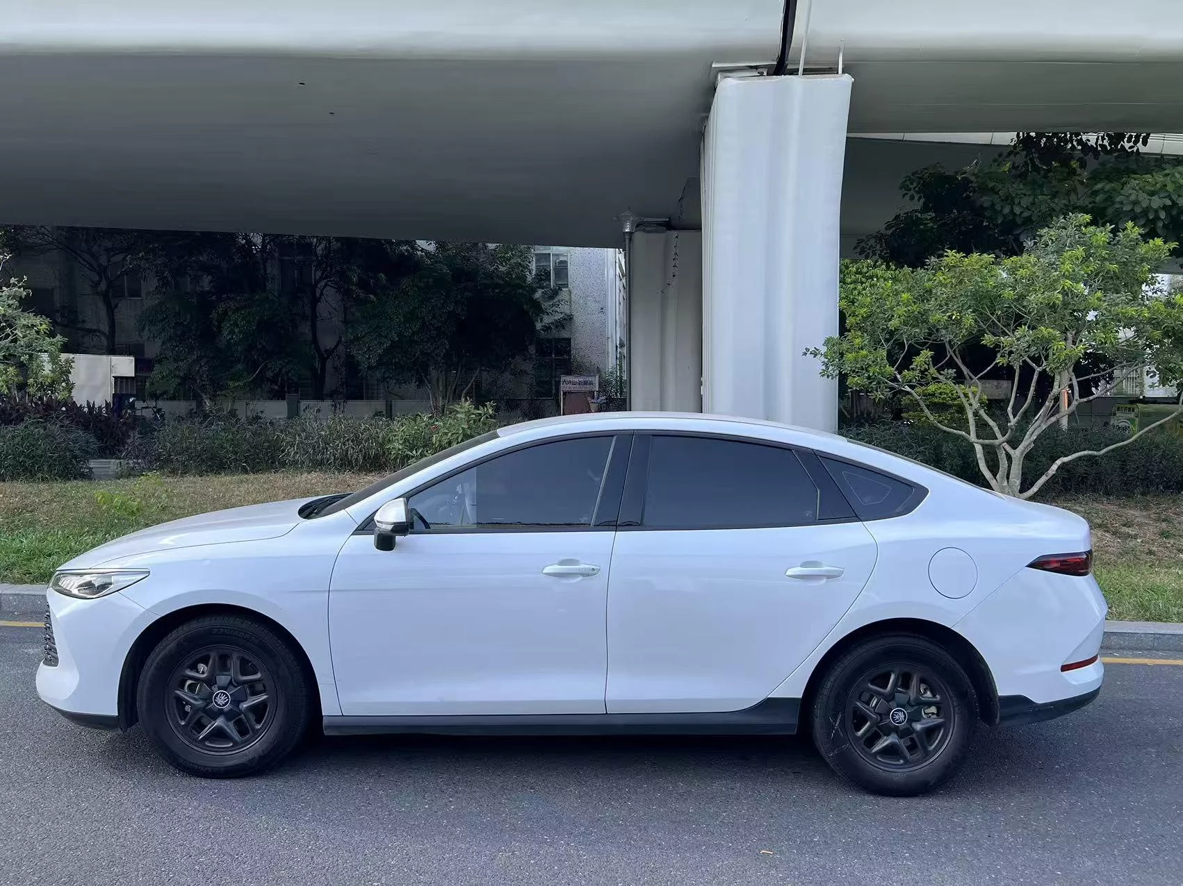 BYD Qin PLUS DM