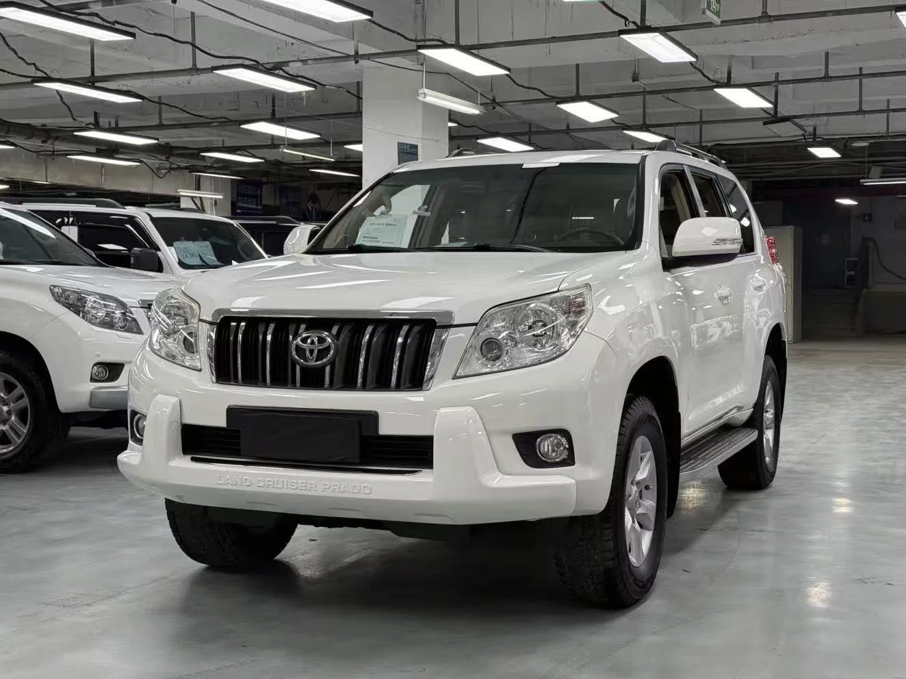 Toyota Prado