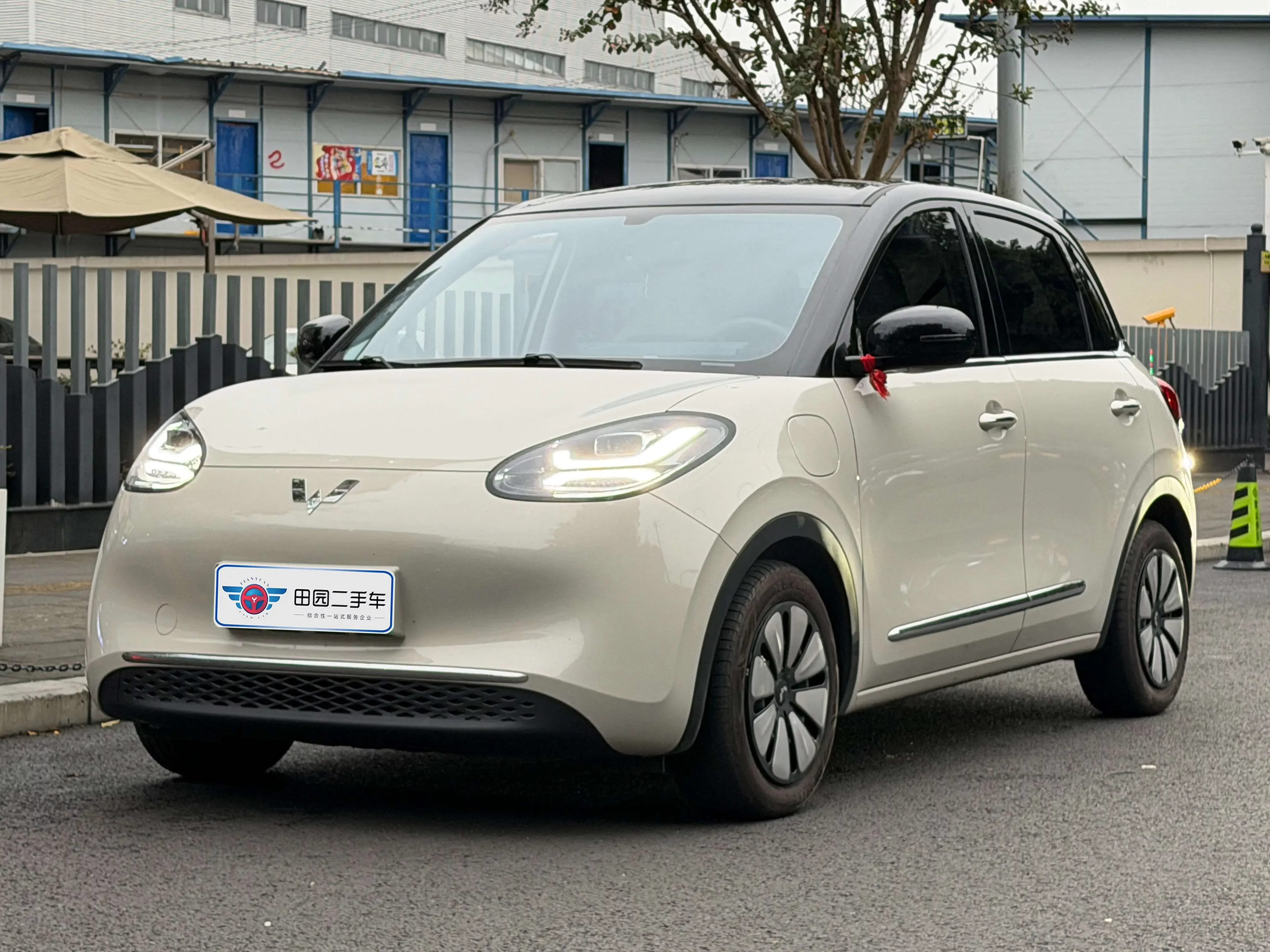 Wuling Bingo