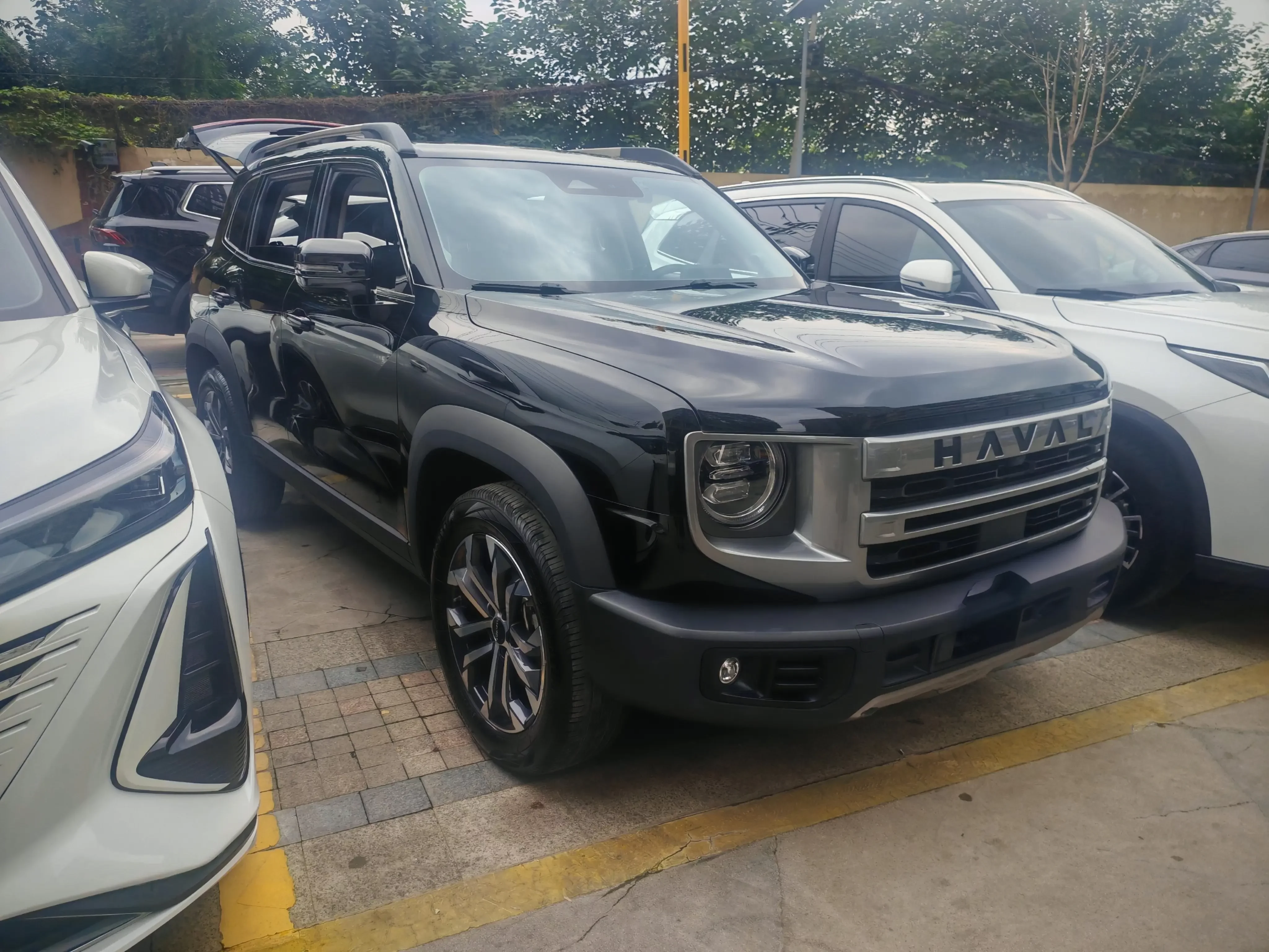Haval Great Wall Dachshund