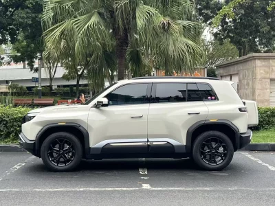 BYD Leopard Titanium 3