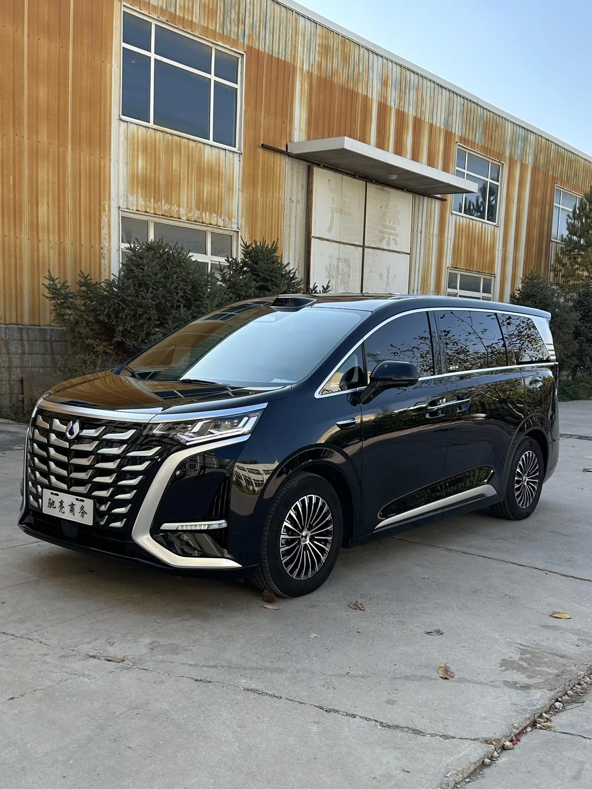 Denza D9 DM