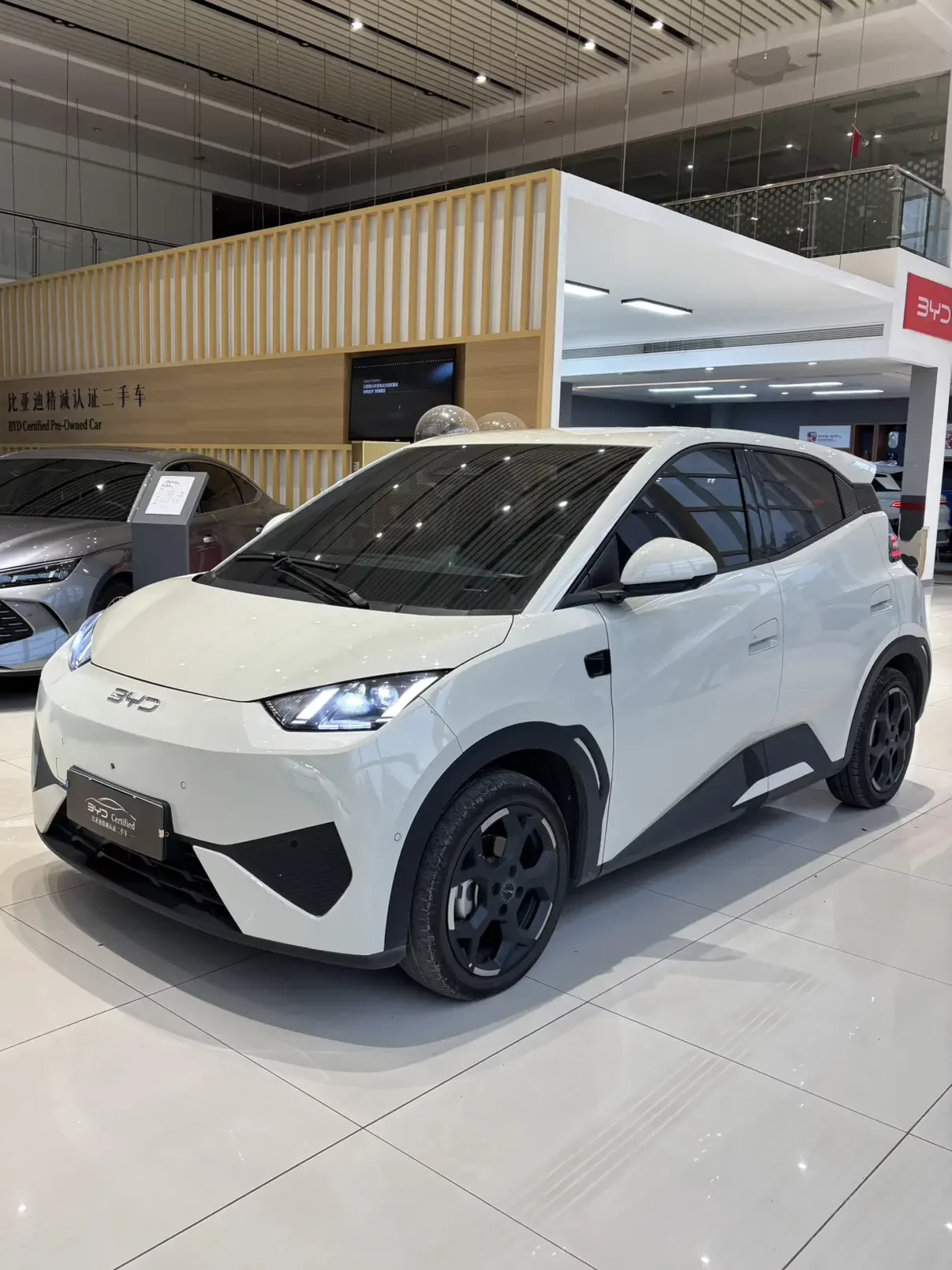 BYD Seagull