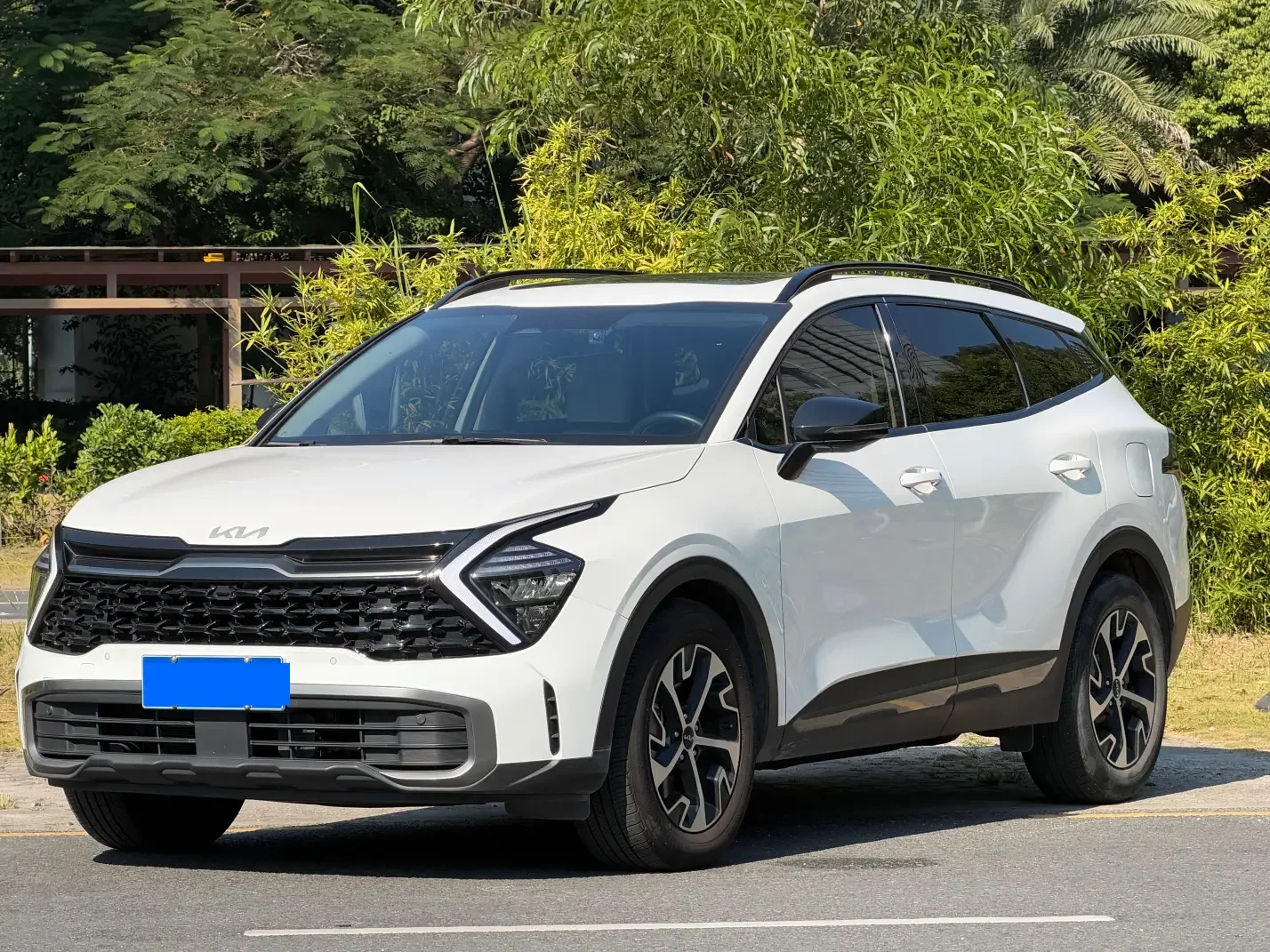 Kia Lion Platinum Expands the Boundary