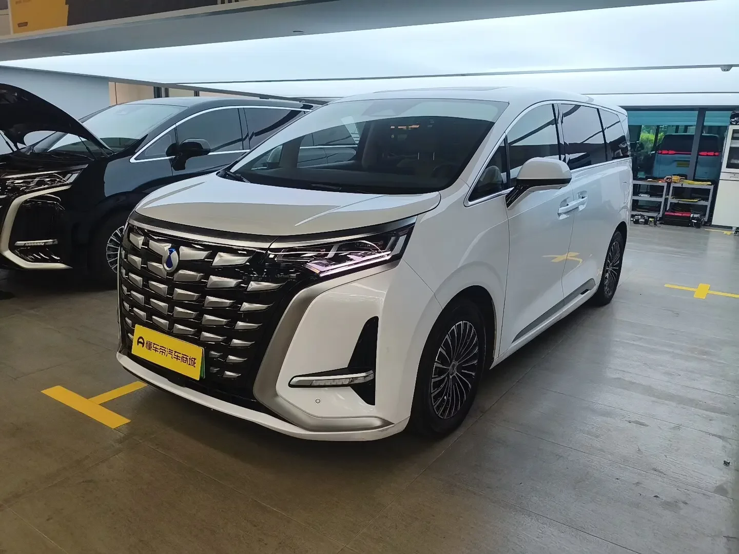 Denza D9 DM