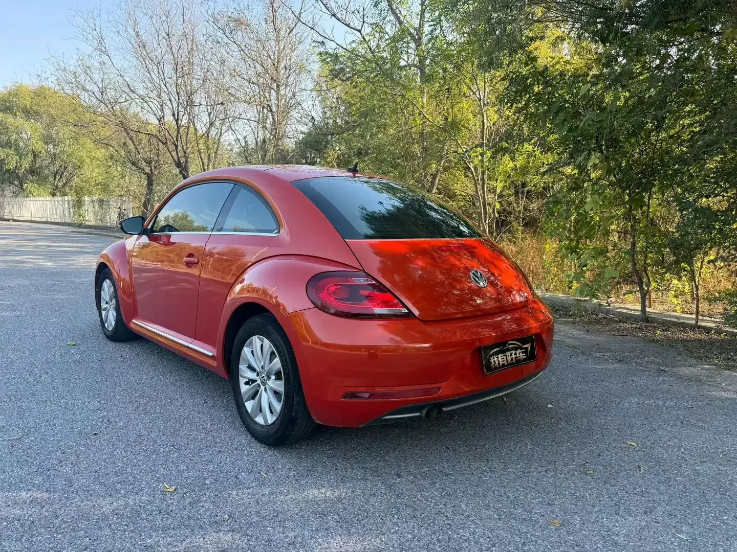 Volkswagen Beetle